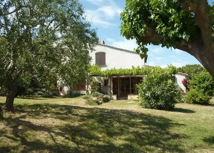 Ferme Du Moulin Roux- 2 Spacieux Appartements- 2cbres Chacun- Authentique Ferme Provençale- Appartement Ramatuelle